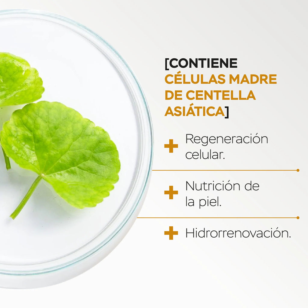 Kit de serums faciales día y noche  con células madre vegetales